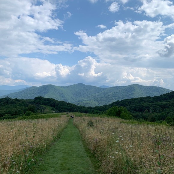 Meet your Posher - Picture 3 of 3